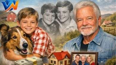 Jon Provost Net Worth